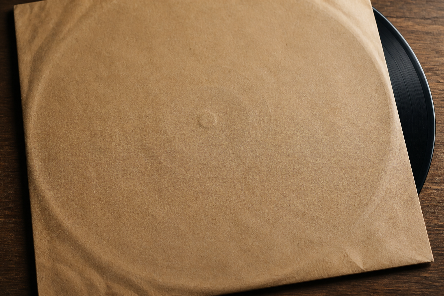 Kraft anti-static sleeve grain with a vinyl edge